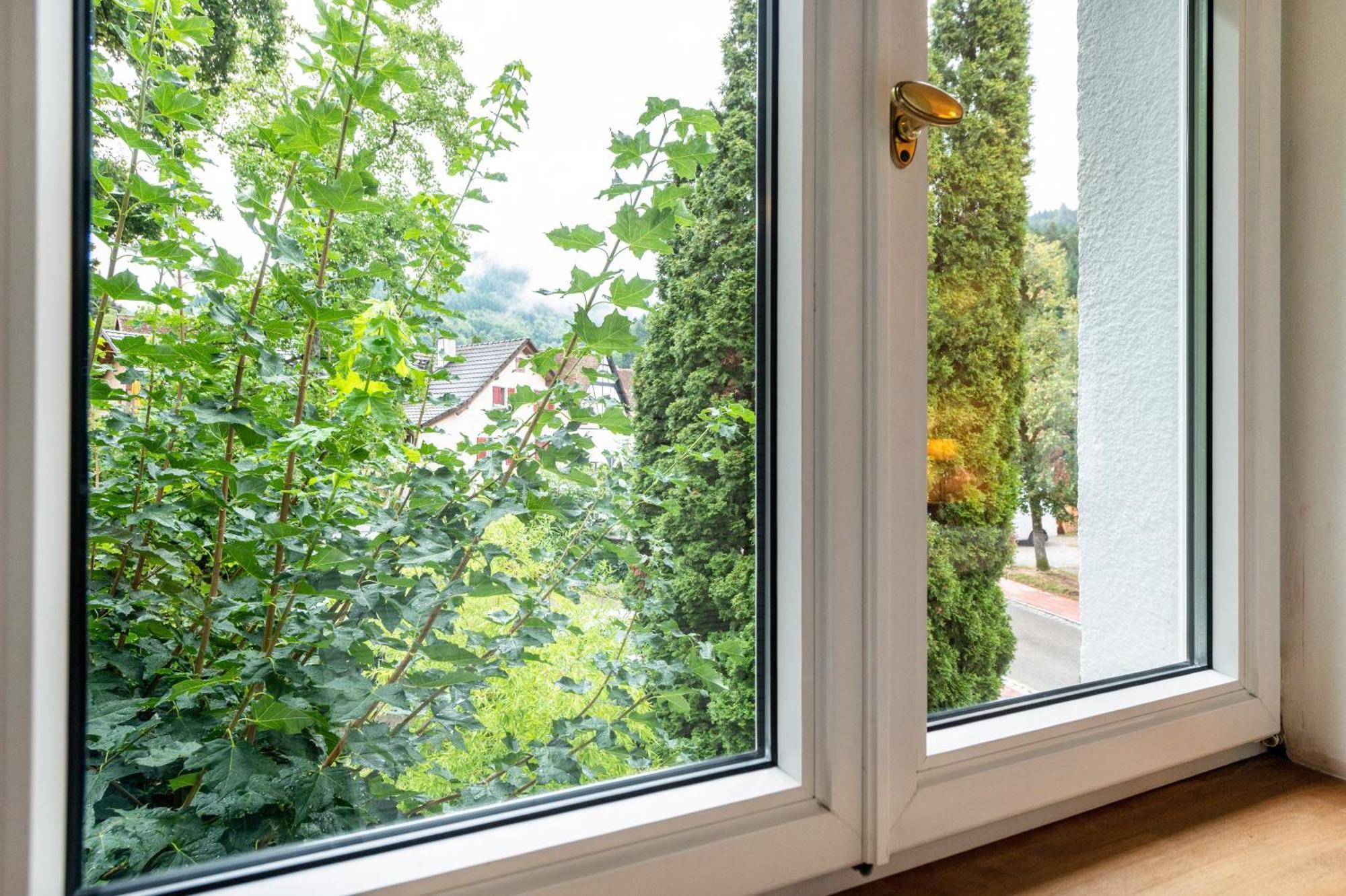 Appartement Waldhorn Badenweiler Exterior photo